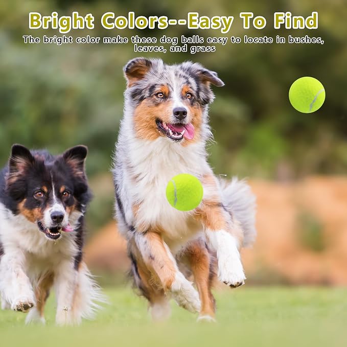 Magicorange Dog Tennis Balls, 40 Pack 2.5 inch Floatable Squeaky Tennis Balls for Fetch Exercise, Natural Rubber Squeaky Dog Balls Training Safe (Multicolor, 40 Pack)