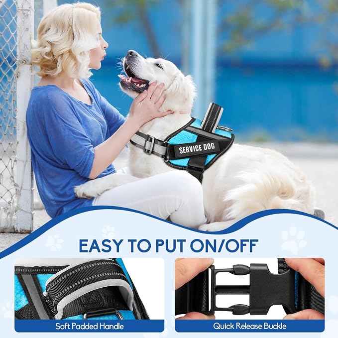 Service Dog Vest Harness and Leash Set, Animire in Training Dog Harness with 10 Dog Patches, Reflective Dog Leash with Soft Padded Handle for Small, Medium, Large, and Extra-Large Dogs (Light Blue,S)