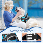 Service Dog Harness (Medium, Light Blue) with Reflective Strips, Leash, and 10 Patches, for Dog Training and Walking