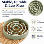 Ceramic Slow Feeder Dog Bowl 1.5 Cup Puzzle Dish for Small Medium Dogs | Glazed ceramic maze bowl with 1.5-cup capacity for dry or wet food, sized for small and medium dogs