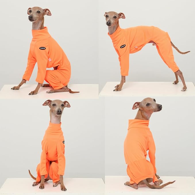 D Doggy Star Italian Greyhound Clothes Stretchy Neon Onesie Spring Summer (S,Onsi Ne Orange)