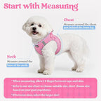 rabbitgoo Dog Harness Small Sized and Leash Set, Step-in Puppy Pet Vest | Light, Soft, Breathable Air Mesh, Easy on and Remove with Hook & Loop, Secure Reflective for Walking, Pink & Plaid Trim XXS