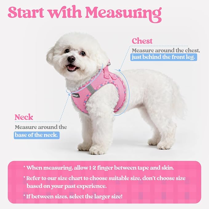 rabbitgoo Dog Harness Small Sized and Leash Set, Step-in Puppy Pet Vest | Light, Soft, Breathable Air Mesh, Easy on and Remove with Hook & Loop, Secure Reflective for Walking, Pink & Plaid Trim M