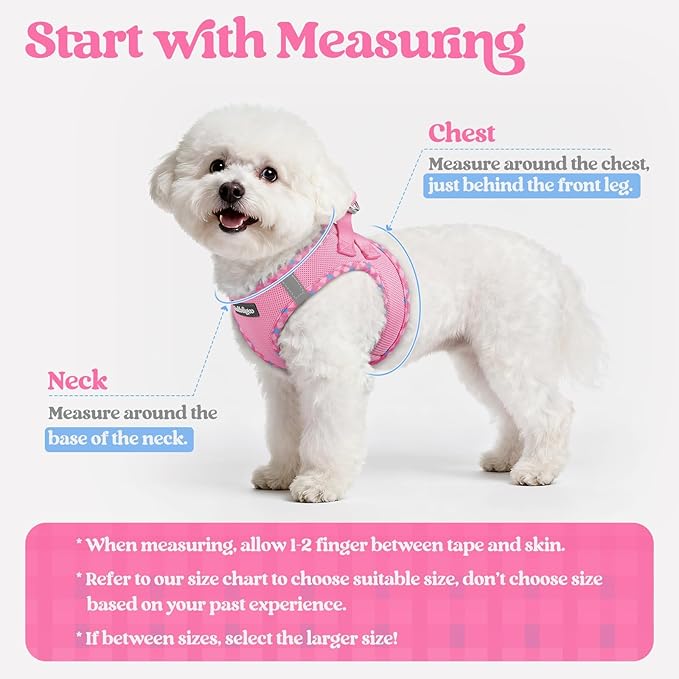 rabbitgoo Dog Harness Small Sized and Leash Set, Step-in Puppy Pet Vest | Light, Soft, Breathable Air Mesh, Easy on and Remove with Hook & Loop, Secure Reflective for Walking, Pink & Plaid Trim S