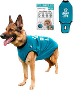 BellyGuard Dog Surgery Recovery Suit, Post-Op Dog Recovery Suit for Female Spay & Male Neuter, Comfy Onesie for Pets, Surgical Body Cover for Canine Healing Support