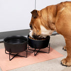 Waggo Simple Solid Double Dog Bowl and Dog Bowl Stand - Double Iron Stand with Double Ceramic Feeder or Water Bowl, Small or Large Dog Elevated Pet Feeder (Matte Black, Medium)