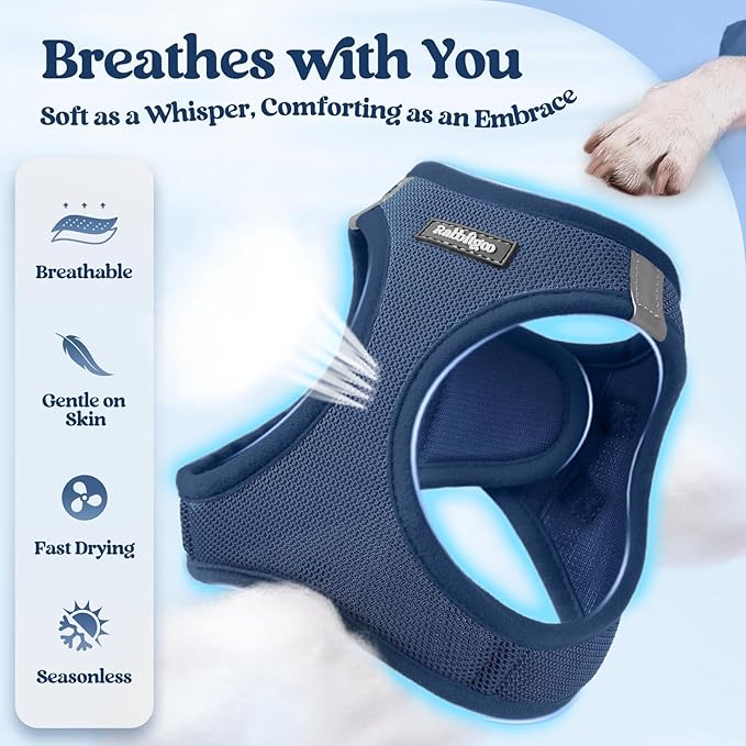 rabbitgoo Dog Harness Medium Sized and Leash Set, Step-in Puppy Pet Vest | Light, Soft, Breathable Air Mesh, Easy on and Remove with Hook & Loop, Secure Reflective for Walking, Navy Blue XL