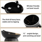 Ceramic Raised Cat Bowl，Tilted Raised Bowl Anti Vomit for Indoor Cats Whisker Friendly Pet Feeder for Cats Puppies, Microwave and Dishwasher Safe (Black)