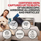 Honeywell HEPA Air Purifier Filter R, 3-Pack Air Filter Replacements | Air filtration for allergens, air filter for air purifier, HPA100/HPA200/HPA300 hepa filter replacement, 3000/5000 Series