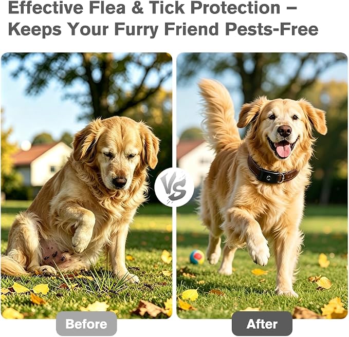 Natural Flea and Tick Pendant for Dogs with 2 Silicone Buckles 4 Refills, Water Resistant Dog Flea and Tick Collar Repellent Accessory for Indoor Outdoor Flea and Tick Prevention, COLLAR NOT INCLUDED