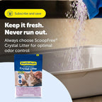 PetSafe ScoopFree Odor Control Crystal Cat Litter, Lavender Scent, 8 Lb Bag | 5x Faster Odor Control than Clumping Clay Litter, 99% Dust-Free, Low Tracking Crystals, Compatible with Any Cat Litter Box