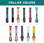 Wilderdog Waterproof Dog Collar - Repels Water & Dirt - Medium 13"-18" - Terracotta