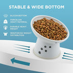 Necoichi Ceramic Elevated Cat Food Bowl, 15° Tilted (Cat, Regular Tilted)