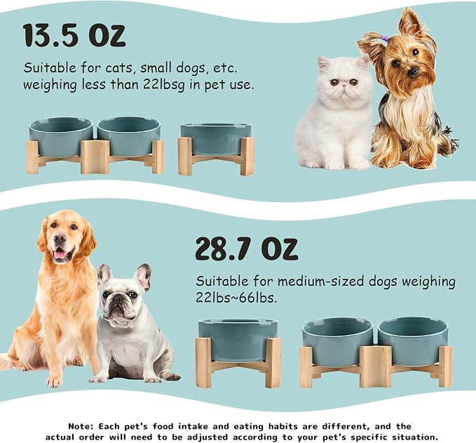 SPUNKYJUNKY 15° Slanted Ceramic Dog and Cat Bowl with Wooden Stand, Tilted Bulldog Food and Water Bowl No Slip Non-Spill for Cats Medium Dogs Big Face Pets 13.5 OZ (1.7 Cups, Light Green × 2)