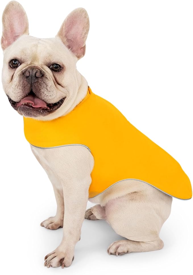 JAN & JUL Dog Rain Jacket (Yellow, Size: M)