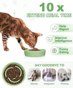 TRUVIC Ceramic Slow Feeder Dog Bowls Small Breed, 0.6 Cup Slow Feeder Cat Bowls for Fast Eaters, Ceramic Dog Food Dish no Black Chin, Puzzle Bowl for Small Dogs and Cats, Green