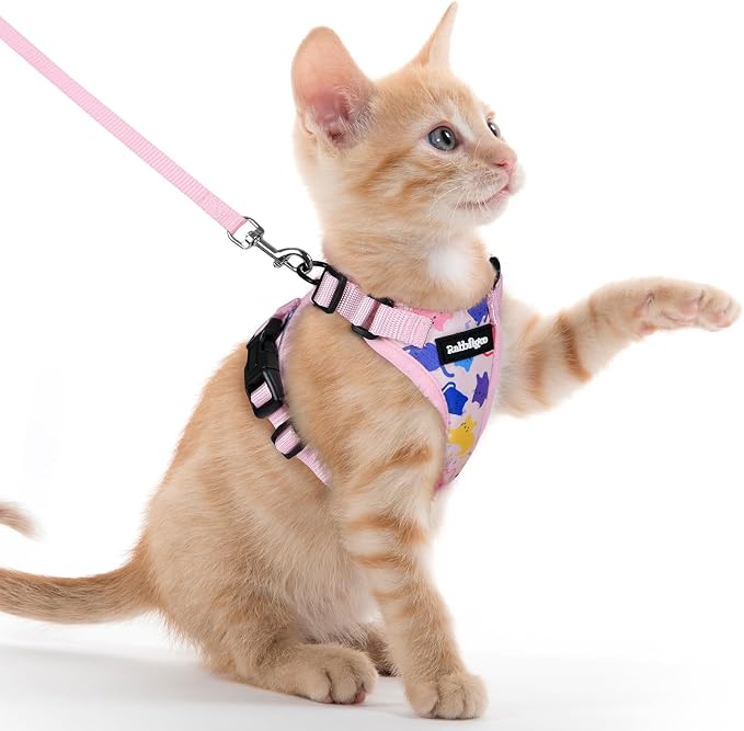 rabbitgoo Cat Harness and Leash Set, Escape Proof Vest, Purrty Pink | Soft Breathable Mesh, Easy Adjustable Fit, Snap Buckles, Sturdy Clip, Reflective Strips, for Kittens & Small Cats Walks, Xxs