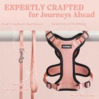 rabbitgoo Cat Harness and Leash Set, Escape Proof Vest, Light Salmon Pink | Soft Breathable Mesh, Easy Adjustable Fit, Snap Buckles, Sturdy Clip, Reflective Strips, for Medium to Large Cats Walks, M