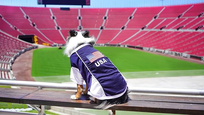 Parisian Pet USA Dog Jersey - Breathable Mesh Puppy Football Jersey - Lightweight Stretch Sporty Dog Clothes - Summer Shirts for Large Dogs - Soccer Jersey for Dogs - Sportswear Pet Clothes