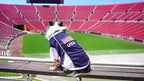 Parisian Pet USA Dog Jersey - Breathable Mesh Puppy Football Jersey - Lightweight Stretch Sporty Dog Clothes - Summer Shirts for Medium Dogs - Soccer Jersey for Dogs - Sportswear Pet Clothes