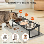 Elevated Cat Bowls with Food Mat, 10°Tilted Non-Slip Raised Cat Food Water Bowls Set, 3 Thick Stainless Steel Pets Dishes with Handles to Indoor Kitten Puppy, Anti-Vomiting Cute Metal Feeding Stand