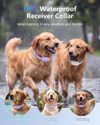 PATPET Shock Collar for 2 Dogs, 4000ft IPX7 Waterproof for 10-120lbs Dogs | Rechargeable 3 Training Modes (Beep/Vibration/Shock) Dog Training Collar with Remote Control for Small Medium Large Dogs