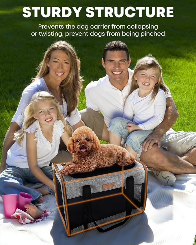 Foldable Cat Dog Carrier for Pets up to 15 Lb, Black | Top & Side Entry, Soft-Sided Pet Carrier with Ventilated Anti-Scratch Mesh & Car Seat Buckle for Car Travel, 20×13×13 in