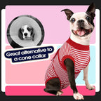 FUAMEY Recovery Suit for Dogs, Dog Onesie for Surgery Female Surgical Suit | Female Dog Onesie for Heat Cycle, Dog in Heat Diapers, Dog Wound care, Spay Cone Alternative after Surgery Rose Stripes S