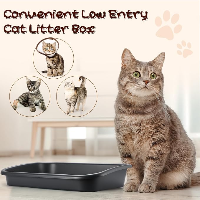 Uiifan 3 Pcs Extra Large Low Entry Cat Litter Box for Senior Kitty Pet Open Top Litter Box for Senior Kitten Handicap Disabled Older Elderly Cats, Easy to Clean(Dark Gray,23.2 x 16.5 x 4.3 Inches)