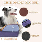 Comfort Expression Orthopedic Dog Bed for Extra Large Dogs with Bolster | Waterproof Dog Couch Bed with Washable Cover & Non-Slip Bottom, Supportive Egg Crate Foam XL Pet Bed, 42x30 Inch