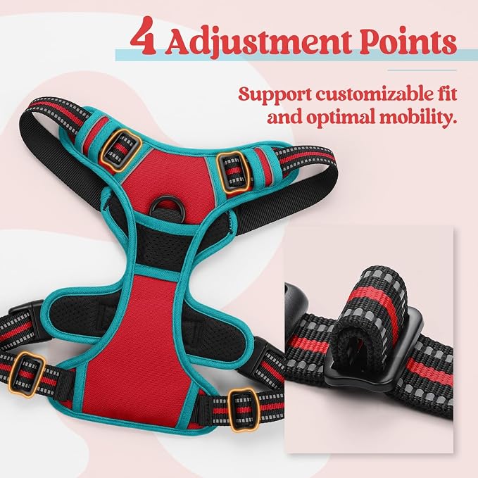 rabbitgoo Dog Harness, No Pull Medium Sized with 2 Leash Clips, Pet Vest | No Choke with Handle, Adjustable Soft Padded, Reflective, Easy Control for Walking, Red & Teal, Medium