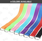 HOMIMP Slip Lead Dog Leash 6 FT- 12 PCS Bulk Colors Kennel Control Leashes for Small Medium Large Dogs Puppy Animal Rescue, Grooming - Heavy Duty Strong Nylon 6 Foot Long for Shelter, Vet, Training