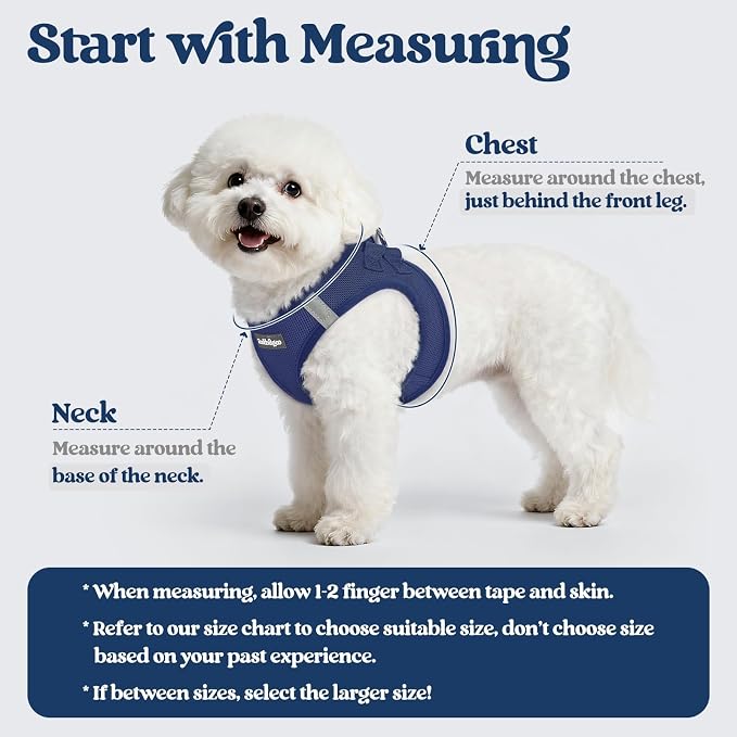 rabbitgoo Dog Harness Medium Sized and Leash Set, Step-in Puppy Pet Vest | Light, Soft, Breathable Air Mesh, Easy on and Remove with Hook & Loop, Secure Reflective for Walking, Navy Blue L