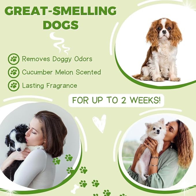 All Stages Natural Dog Shampoo and Conditioner Set with Aloe Vera pH-balanced Dog Grooming Shampoo and Conditioner for Dogs, Tear-Free Moisturizing Dog Shampoo Sensitive Skin 1 Gallon