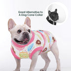 Kuoser Dog Recovery Suit After Surgery, Spay Neuter Surgical Suit for Dogs | Post Surgery Anti-Licking Dog Onesie Protects Wounds and Incisions, E-Collar & Cone Alternative Bodysuit for Female Male Dogs