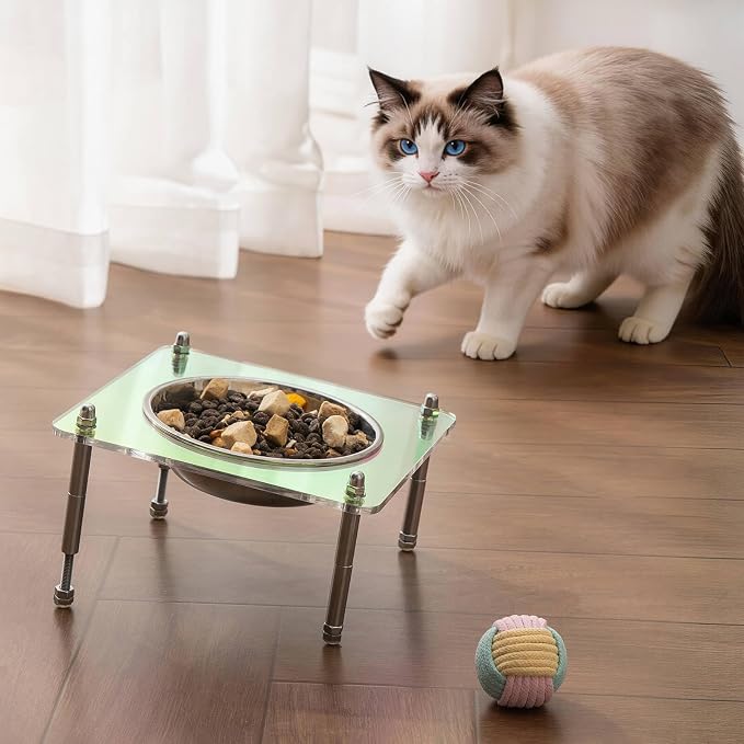 Elevated Cat Bowls with Food Mat Tilted 304 Stainless Steel Dishes for Cats | Whisker Friendly Shallow Dish, Tilted Design Anti-Vomiting, Durable Acrylic Base Feeder, Adjustable Raised Stands, Non-Slip