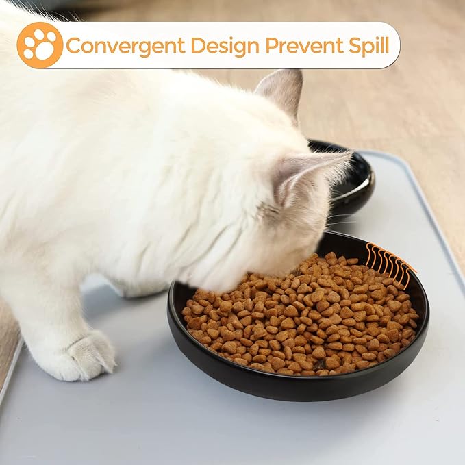 Ceramic Cat Bowls - Shallow Dishes for Food and Water, 6 Inch Matte Finish Wide Cat Food Bowl, Whisker Fatigue Free Pet Puppy Kitten Bowl Set of 3, Dishwasher Safe