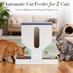 Automatic Cat Feeder 2 Cats Gravity Dual Cat Food Dispenser | Auto Dry Food Dispenser with Strong Anti-Jam System Galvanized Steel Pet Food Station Indoor & Outdoor Double Bowls