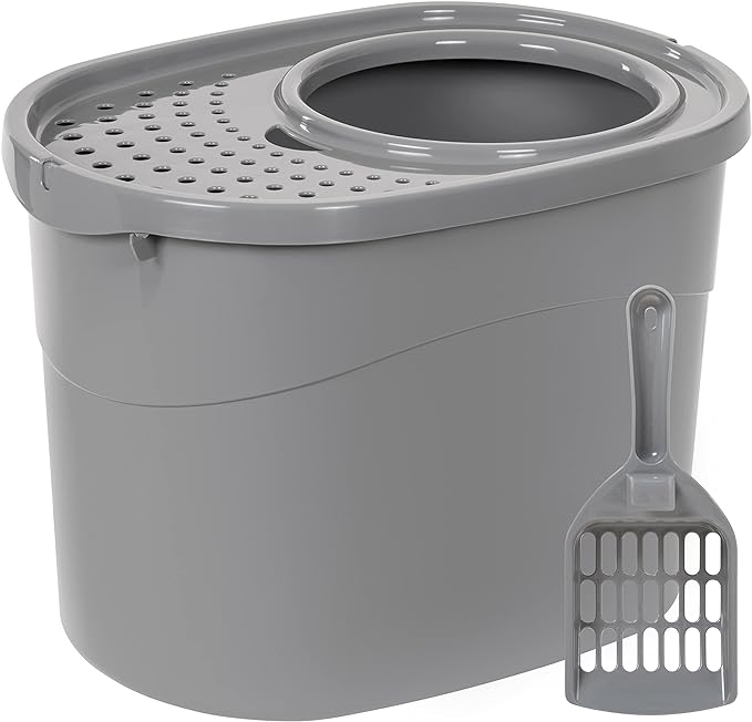 Amazon Basics Large Cat Litter Box with High Sides, Top Entry, Odor Control, Includes Scoop, 20.5 x 14.75 x 14.38 inches, Grey