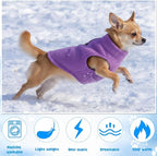 Reginary 10 Pack Small Dog Sweaters Fleece Pet Dog Clothes with Leash Ring Soft Warm Winter Puppy Plaid Shirt(Stylish)