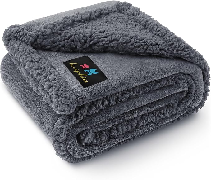 Waterproof Pet Blanket, Liquid Pee Proof Dog Blanket for Sofa Bed Couch, Reversible Sherpa Fleece Furniture Protector Cover for Small Medium Large Dogs Cats, Dark Gray Medium（57" x 40"） | waterproof pet blanket sherpa fleece reversible couch cover bed ...