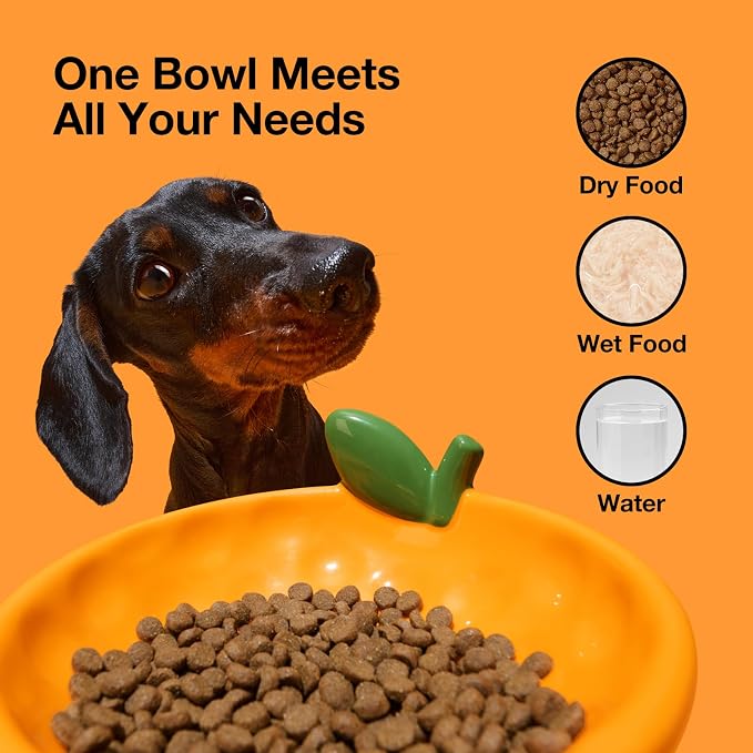 VETRESKA Ceramic Pet Bowl, Tilted Design Pet Feeder for Food and Water | Anti Vomit Cat Bowls for Indoor Cats Cute Tangerine Cat Bowl Dishwasher Safe