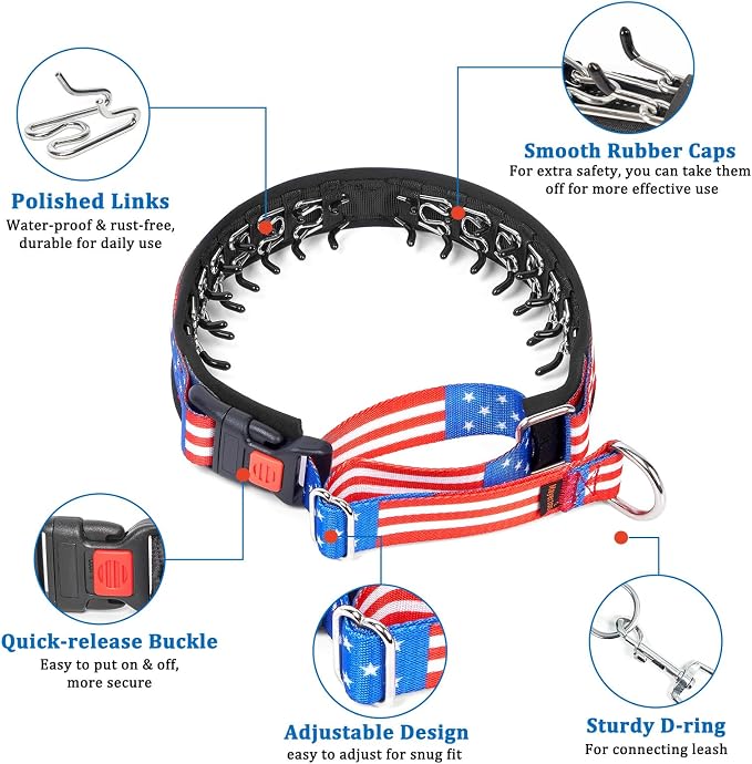 Mayerzon Martingale Prong Collar for Dogs, Patented No Pull Pinch Collar | with American Flag and Buckle for Small Medium Large Dogs Training Walking Hunting, Adjustable and Heavy Duty (Flag, S)