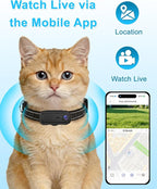 Cat Camera Collar with Phone APP & 1080P HD Video Record,XS-Size Pet POV Cam for Cats & Small Dogs,Mini Small Sports Video Cameras for Pets(Included 8GB SD Card),Pet Supplies Gift for Pet Owners