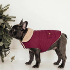 Large Dog Winter Jacket, Pet Warm Windproof Coat Dogs Cold Weather Coats Snow Jacket Pets Clothes, Golden Retriever, Labrador Retriever, Husky, Burgundy L
