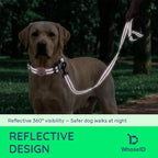 Airtag Dog Collar and Leash Set,Reflective Ultra-Durable Nylon Padded With QR Buckle & IP68 Waterproof Air Tag Holder Compatible for Apple AirTag, Comfortable for Small Medium Large Dogs (Pink Set,XS)