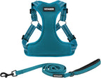 Best Pet Supplies Voyager Adjustable Step-in Flex Breathable Mesh Dog Harness for Small Medium Large Dogs Leash Set (Turquoise), XL