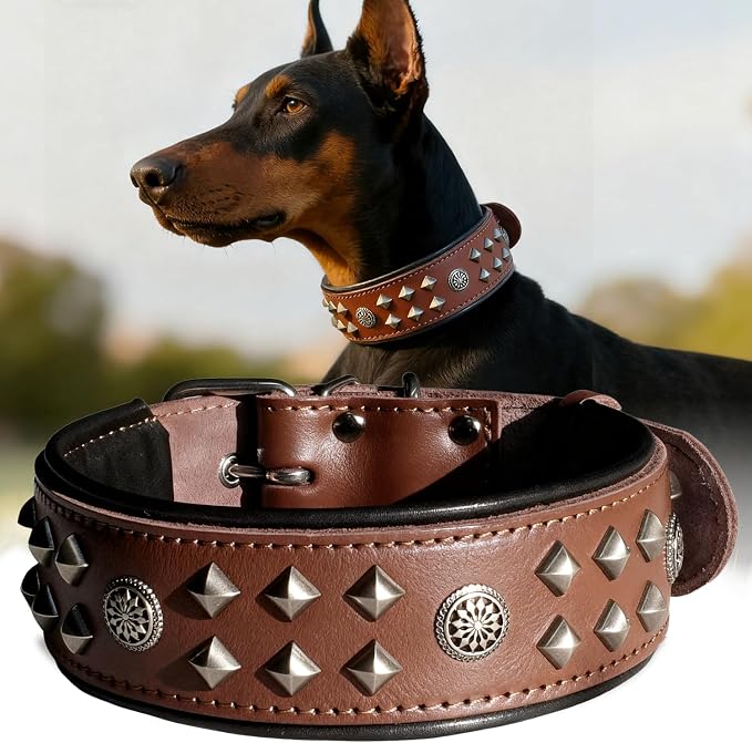 Genuine Leather Dog Collar 2.2 in Wide for Large Dogs Heavy Duty, BN-SL-S | Handcrafted,Stainless Steel Buckle and Alloy Studded,Soft Padded,Fashionable Daily Wear for Large Giant Breed,16.5-20.5 in