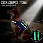 Service Dog Vest Harness and Leash Set+10 Patches,Easy Walk Blue XL | No Pull&Adjustable Reflective Dog Harness Large Sized,Dog Leash with 2 Soft Padded Handles,for Training Hiking Walking