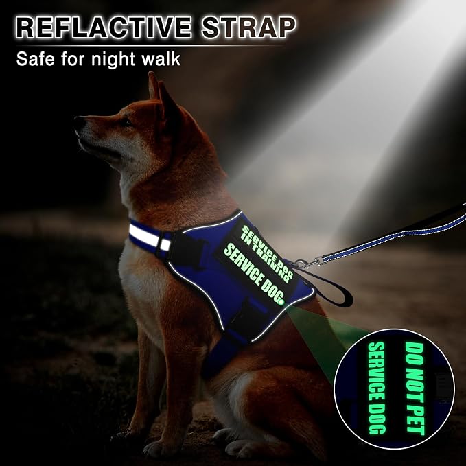 Service Dog Vest Harness and Leash Set+10 Patches,Easy Walk Blue S | No Pull&Adjustable Reflective Dog Harness Small Sized,Dog Leash with 2 Soft Padded Handles,for Training Hiking Walking